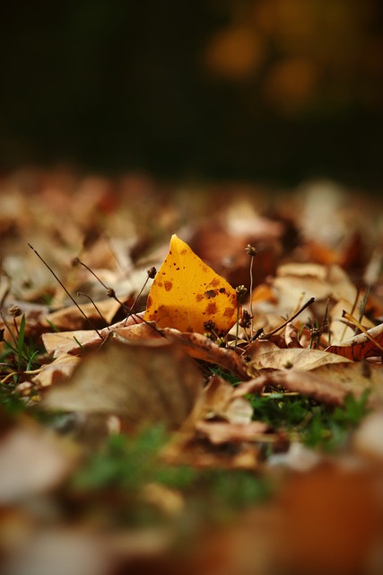 现在米兰是否会是联赛冠军头号热门？里奇：不能这么说